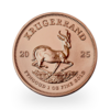 1 ounce Gold Krugerrand | Tube of 10 | 2025 | South African Mint