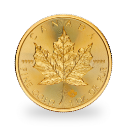 1 ounce Gold Maple Leaf - Tube of 10 - 2024 - Royal Canadian Mint