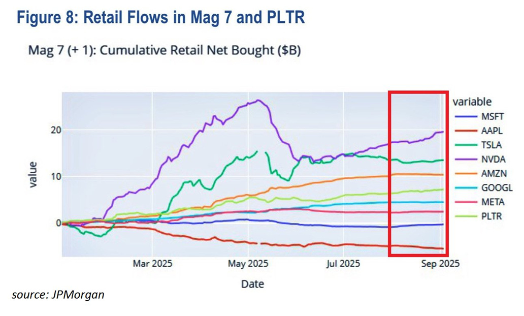 Retail flows in Magnificent 7 and Palantir