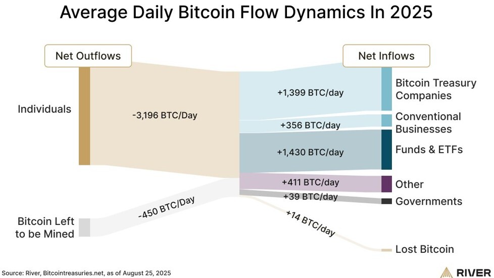 Average daily Bitcoin flow dynamics 2025